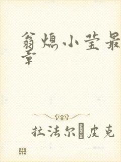 翁熄小莹最新节章封面
