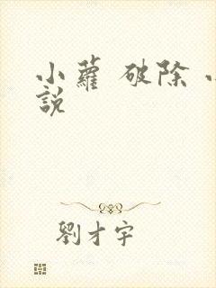 小萝 破除 小说封面