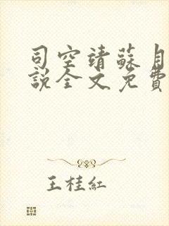 司空靖苏月汐小说全文免费阅读