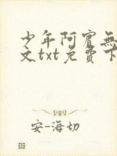 少年阿宾无删全文txt免费下载封面