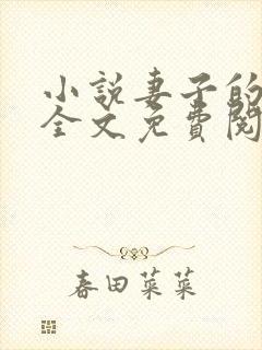 小说妻子的秘密全文免费阅读全文封面