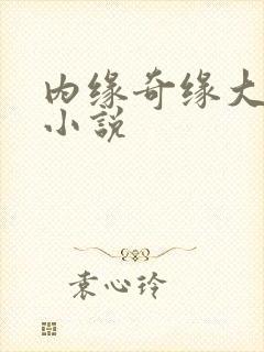 内缘奇缘大团圆小说