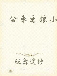 公车之狼小说