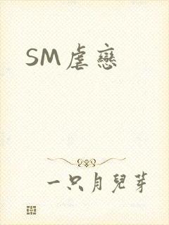 SM虐恋