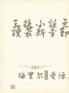 王扶小说免费阅读最新章节无弹窗