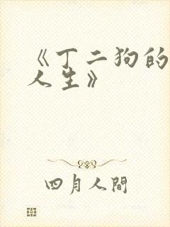 《丁二狗的逆袭人生》