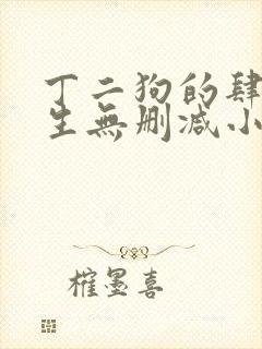 丁二狗的肆意人生无删减小说免费