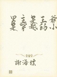 男主是王爷女主是穿越的小说