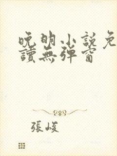 晚明小说免费阅读无弹窗