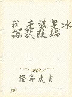 我老婆是冰山女总裁改编