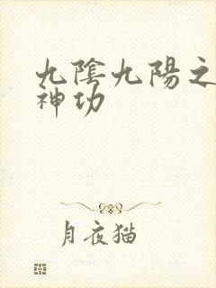 九阴九阳之阴阳神功封面