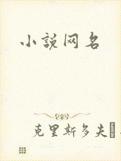 小说网名