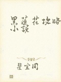 黑莲花攻略手册小说