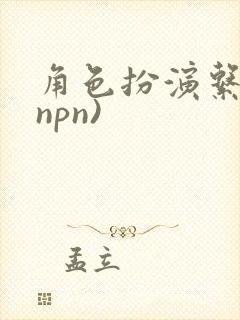 角色扮演系统(npn)
