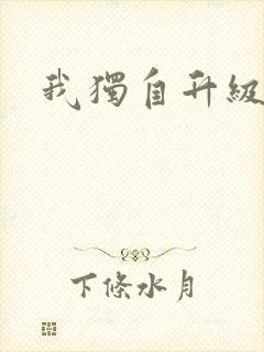 我独自升级2