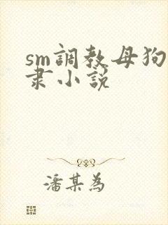 sm调教母狗奴隶小说
