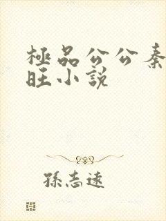 极品公公秦雨老旺小说