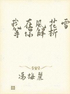 我在风花雪月里等你解析