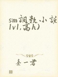 sm调教小说(1v1,高h)