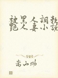 被黑人调教的冷艳人妻小说封面
