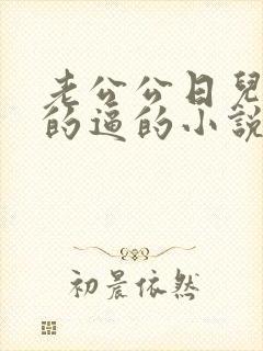 老公公日儿媳妇的逼的小说
