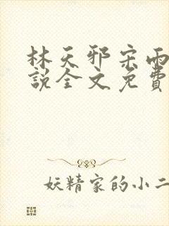 林天邪宋雨嫣小说全文免费阅读封面