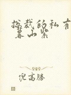 总裁的私有宝贝 暮山紫