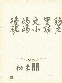 后妈文里的反派亲妈小说免费阅读