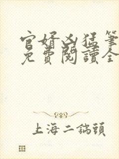 官婿凶猛笔趣阁免费阅读全文