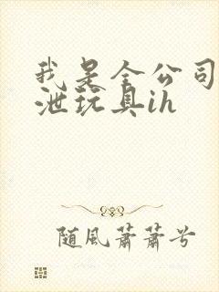 我是全公司的发泄玩具ih