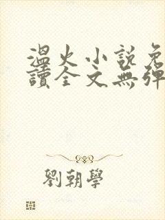 温火小说免费阅读全文无弹窗