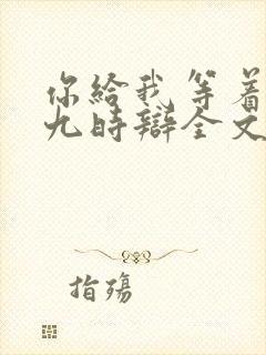 你给我等着by九时辩全文免费阅读封面