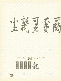 小说可不可以爱上我免费阅读