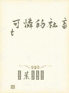 可怜的社畜txt封面