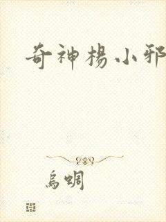 奇神杨小邪