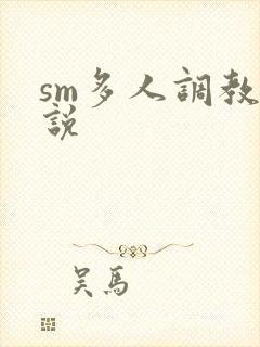 sm多人调教小说