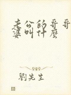 老公的哥哥的老婆叫什么