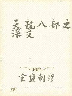天龙八部之极乐深交封面