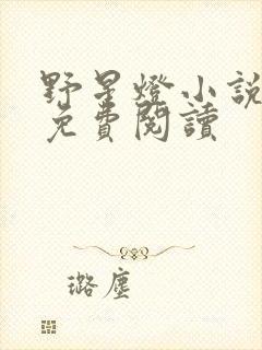 野星灯小说全文免费阅读