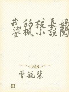 我的校长妈妈夏鎏枫小说阅读