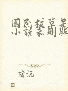 国民校草是女生小说未删版
