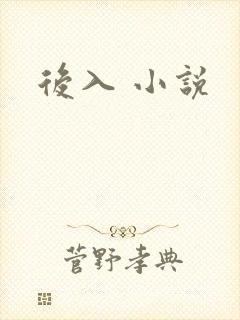 后入 小说