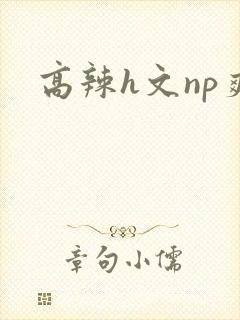 高辣h文np爽