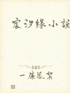 宸汐缘小说