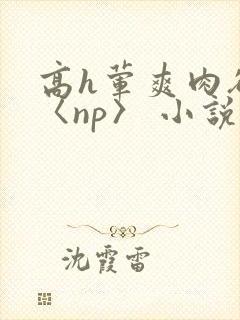 高h荤爽肉欲文〈np〉 小说