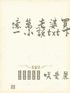 亿万老婆买一送一小说txt下载