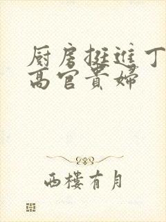 厨房挺进丁字裤高官贵妇封面