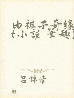 内裤子奇缘txt小说 笔趣阁封面