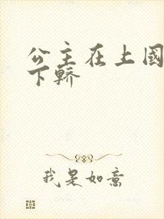 公主在上国师请下轿