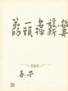 第一名媛,总裁的头号新妻小说